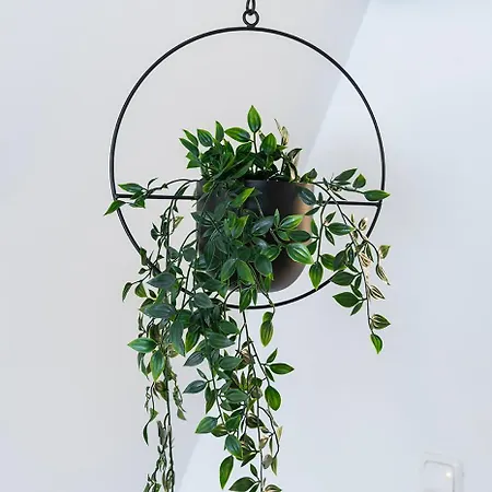 City, New And A Kitchen Prázdninový dům