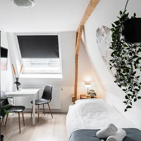 City, New And A Kitchen