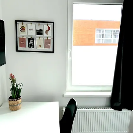 City, New And A Kitchen *